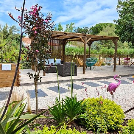 Logis Le Nid Du Pont De Gau Lejlighedshotel Saintes-Maries-de-la-Mer Eksteriør billede